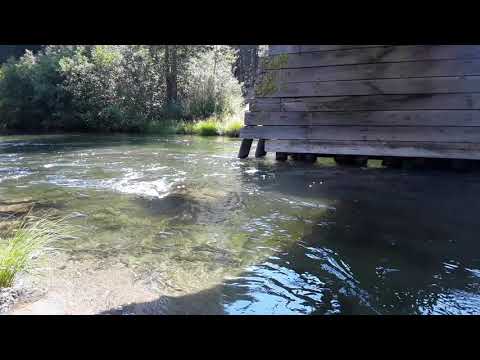 Peace and tranquility on the North Fork Feather River in Chester California