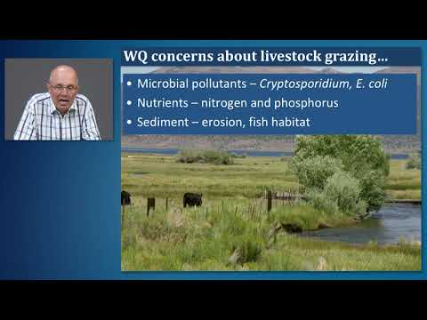 Science of Grazing Management and Water Quality - Preview