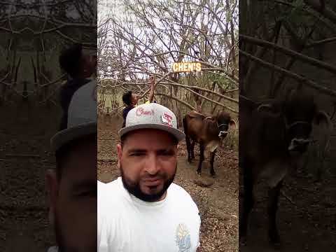 Chen's conociendo Quilali Nueva Segovia