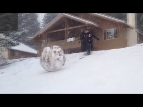 "Enemy" but in real life - Nunu & Willump