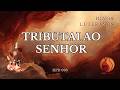 Tributai Ao Senhor BANDA LCI 096 Hinos Luteranos Versão Odre Eterno