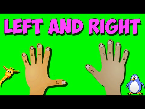 Part of a video titled Left and Right Song - YouTube