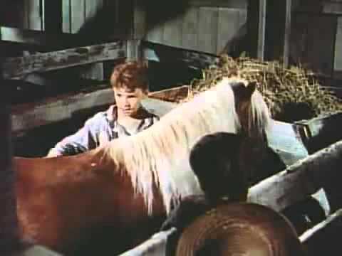 afbeelding The Red Pony   Original Trailer 1949