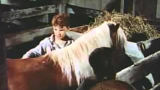 The Red Pony   Original Trailer 1949