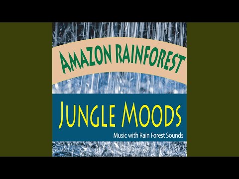 South American Rain and Thunder with Rain Forest Beats