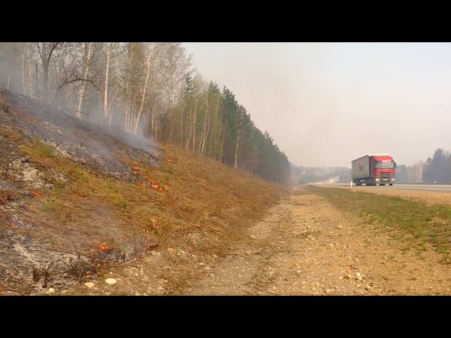 Лесные пожары в Ангарском округе