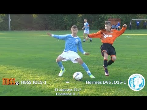 Samenvatting HBSS JO15-1 - Hermes DVS JO15-1