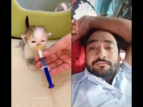 #funny #shorts #diyalisujan