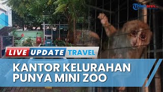 Unik! Mini Zoo di Dalam Kantor Kelurahan, Lurah Pejaten Barat Klaim Urusi Hewan Pakai Dana Pribadi