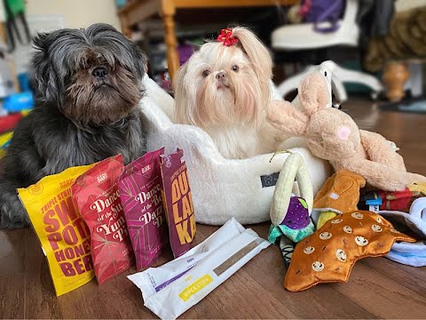 Unboxing Christmas Presents / BarkBox and Nandog