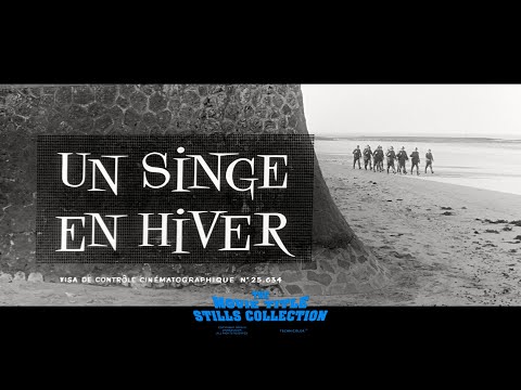 afbeelding Title Sequence