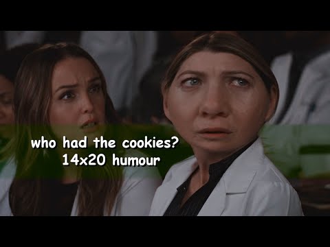who had the cookies? │14x20 humour