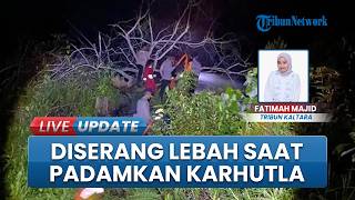 Perjuangan Petugas BPBD Padamkan Karhutla Nunukan, Sempat Diserang Lebah Hingga Tersesat di Hutan