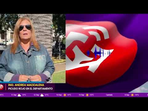 **🌴 PICUDO ROJO: LA INTENDENCIA DE COLONIA REFUERZA EL CONTROL Y LA PREVENCIÓN**