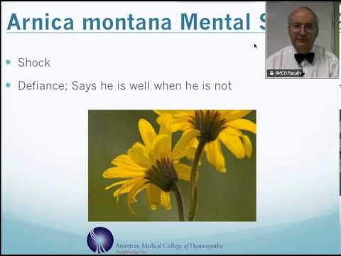 Arnica Montana: Homeopathic Medicine -Tips For Beginners