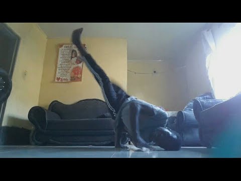 come kuno chabby boy ft chef 187 & T -Sean (dance video)