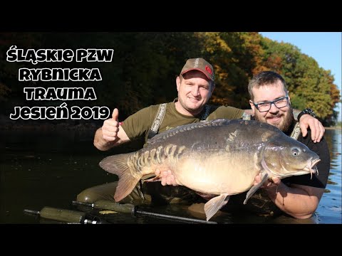 Jesienna zasiadka na dębach! Rybnik 2019! #CARPLOG10