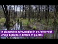Dit oude natuurgebied bij Doetinchem zit vol met leven - BuitenGewoon