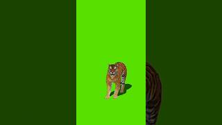 Download lagu 😊greenscreen animasi hewan harimau🐅#shorts mp3 Download lagu 😊greenscreen animasi hewan harimau🐅#shorts mp3