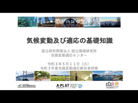 気候変動はヨーロッパのブナ林に影響を与えている