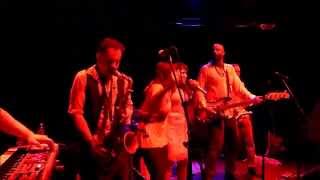 One Thousand Tears Of A Tarantula - Dengue Fever