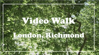 【Peaceful Walk】ロンドン・リッチモンド ー VideoWalk