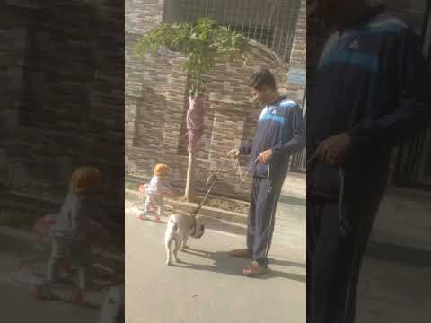 mere sherni 😍😍