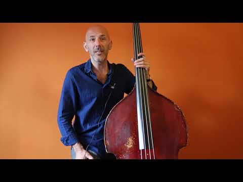 Arnoud van den Berg: Gypsy Jazz Bass Volume 2