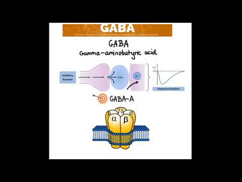Junior-Stress-Itis, Melior(somnum)