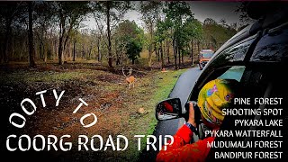 #VLOG~22: Ooty to Coorg | Road Trip | Mudumalai Bandipur Forest