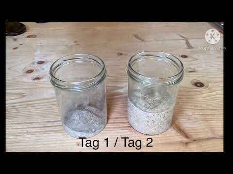 Sauerteig selbst machen | Helga Graef BROT UND LEBEN