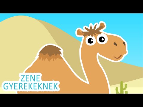Állatok - Gyerekdalok Egybefűzve | Zene Gyerekeknek | Animáció