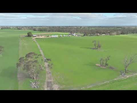 200 Pooginagoric Road, Bordertown, SA 5268, 4 Kuwarto, 2 Banyo, Lifestyle Property
