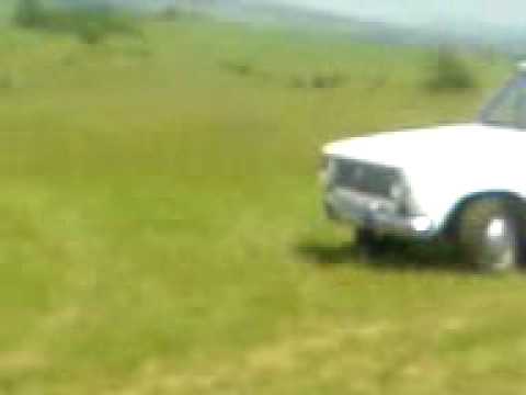 Stambeto sus Jigulata