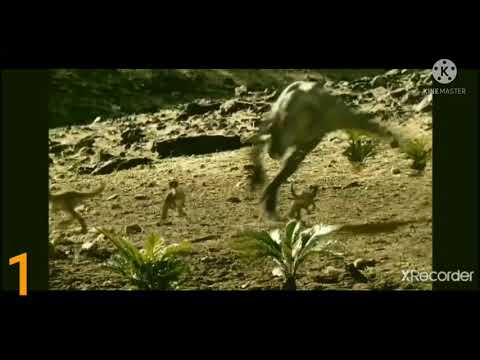 WWD-ballad of big al (2000) DEATH COUNT