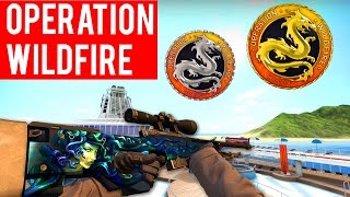 Cs go fast coins как включить отдачу в кс го