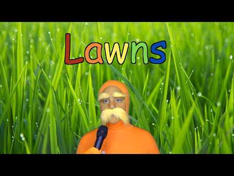 The Case Against Lawns