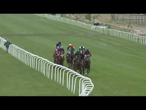 2021.10.10. 08. futam - MAGYAR ST. LEGER (HUN Gd-2) (NGL-X.)