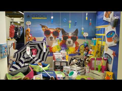 Zoomark 2017 en cinco minutos
