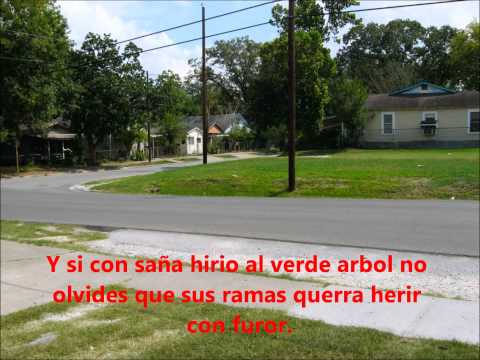 Mas Que Vencedor - Alvaro Gomez