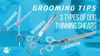 3 types of thinning scissors for dogs | Grooming Tips - TRANSGROOM