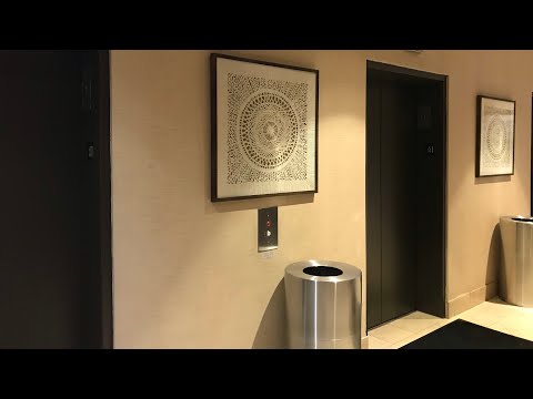 New Year’s Night Ride! OTIS Traction Scenic Elevators - Embassy Suites by Hilton - Santa Clara, CA