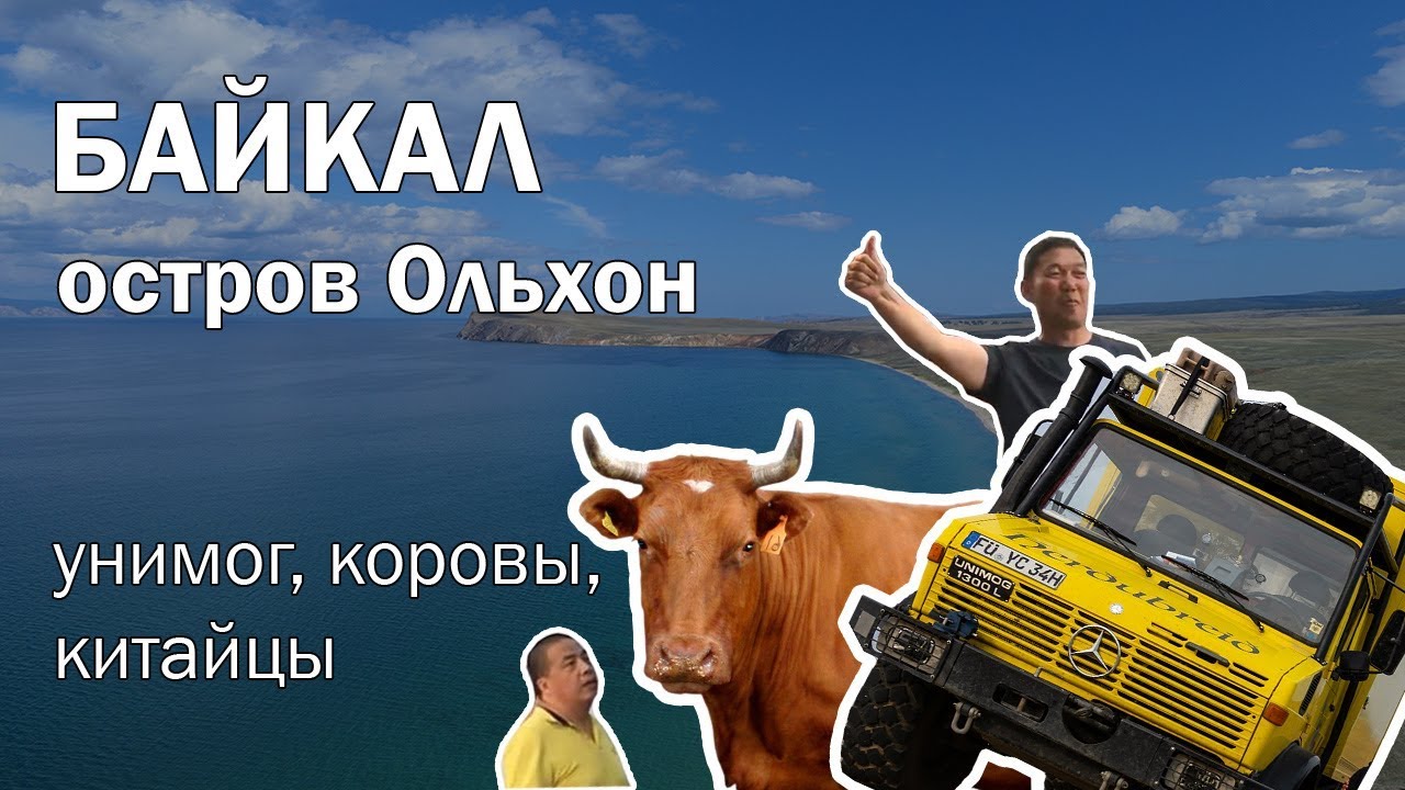 Поездка на Байкал. Остров Ольхон: унимог, коровы, китайцы