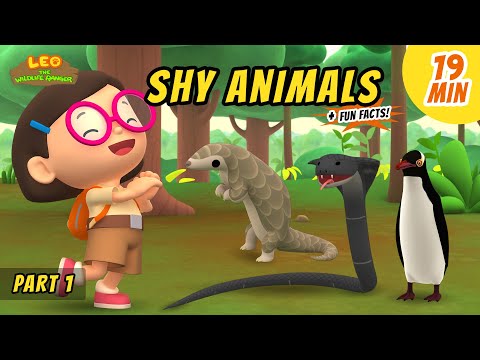 Witness21 Editor  2020 10 01