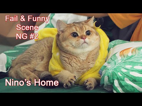 NG Scene #2 (Funny Behind the scenes) | Nino's Home