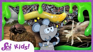 The Yuckiest Animals | SciShow Kids Compilation