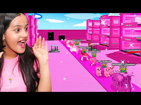 SERVIDOR SOLO CHICAS 😱 en STEAL A BRAINROT! SAMMY me INVITA y PASA ESTO!