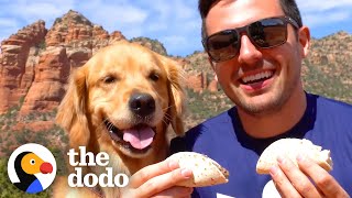 This Man's Best Friend Is His Golden Retriever | The Dodo Soulmates by The Dodo