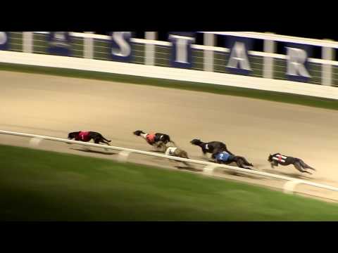 2017 STAR SPORTS DERBY - ROUND 2 - HEAT 16 - T1 JAYTEE YANKEE