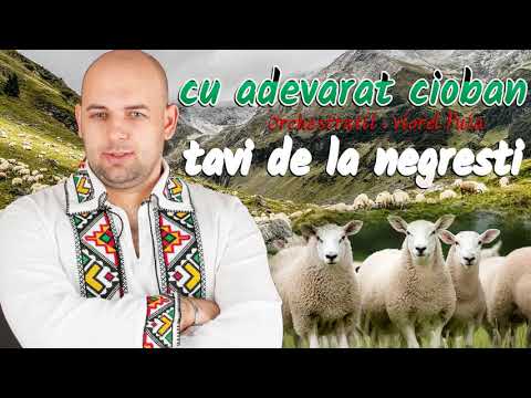 TAVI DE LA NEGRESTI - Cu adevarat cioban  etno 2021